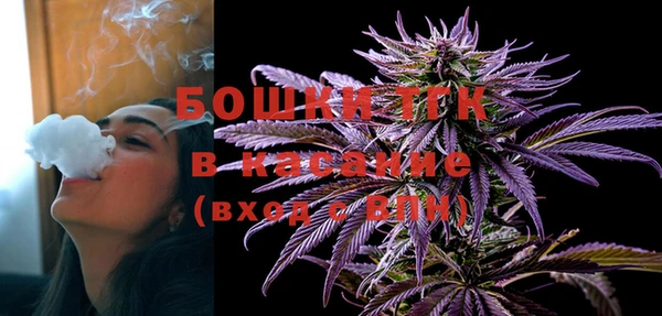 бошки Заводоуковск