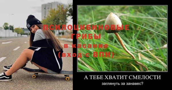 стафф Чегем