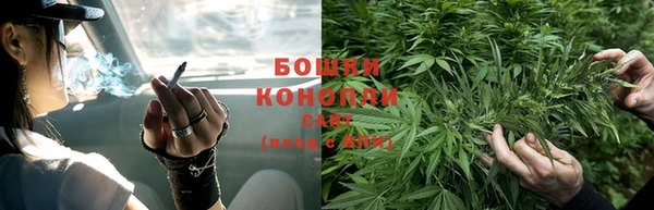 бошки Заводоуковск
