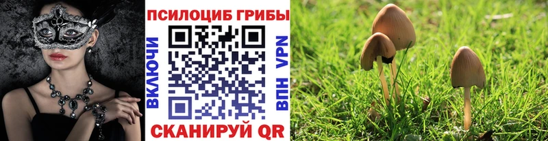 Галлюциногенные грибы мицелий  Купить закладки  Кириши 