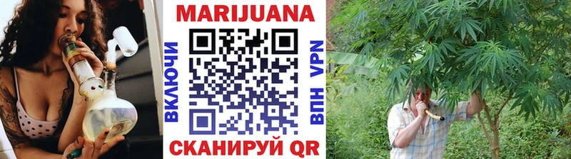 Купить где  Кириши  Конопля SATIVA & INDICA 
